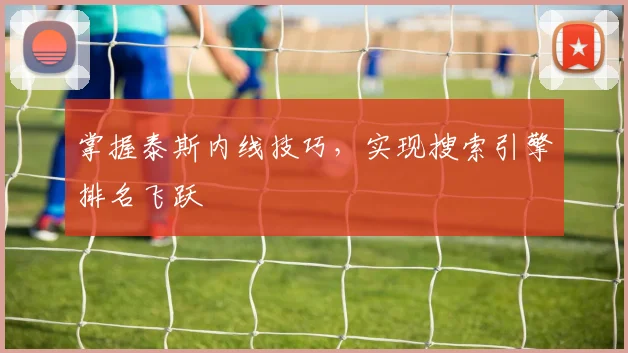 掌握泰斯内线技巧，实现搜索引擎排名飞跃